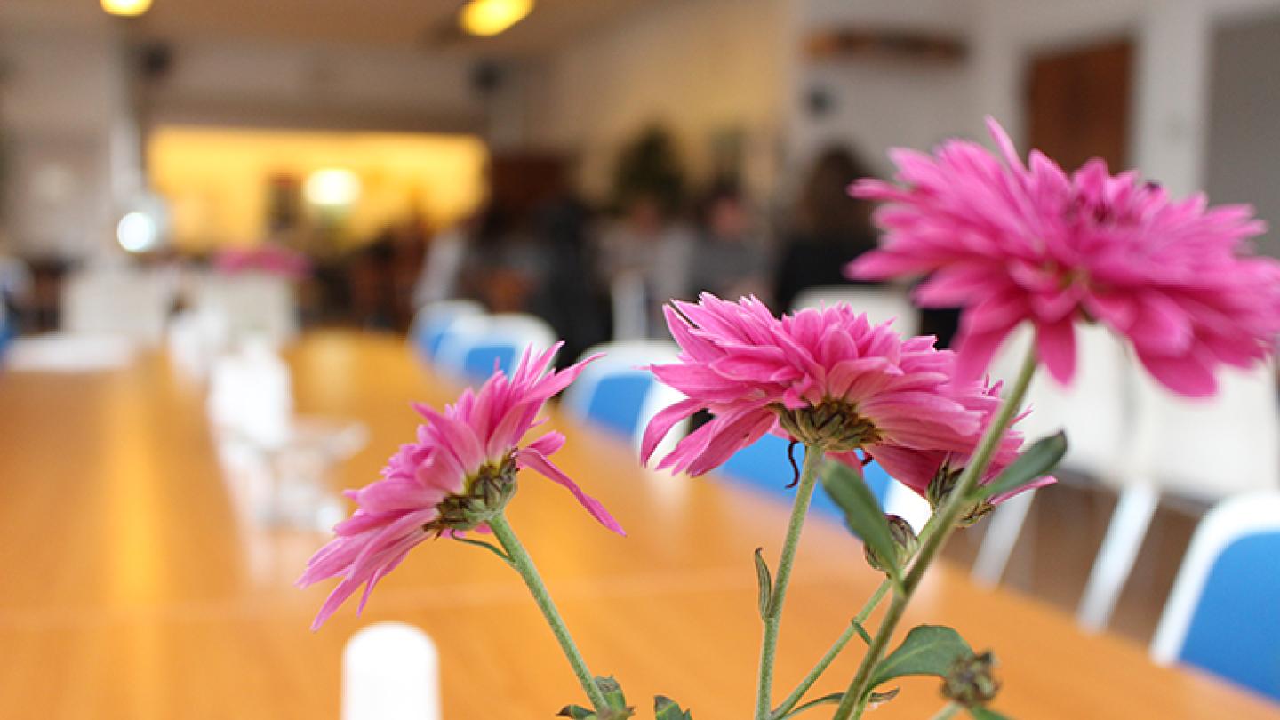 cafeen blomst.jpg